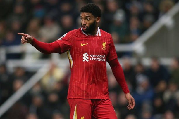 活的战术调 活的战术调