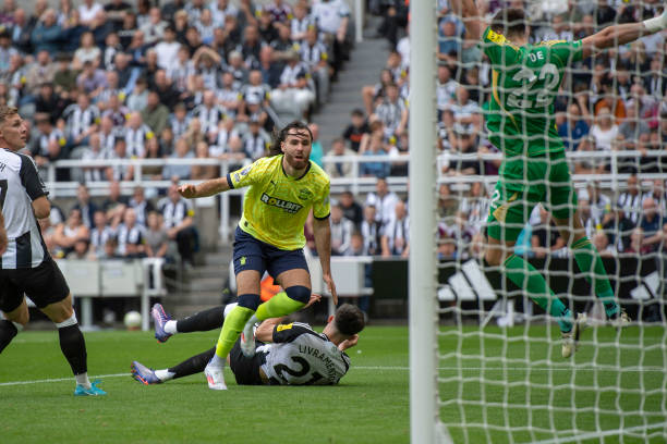 革中占据有 革中占据有