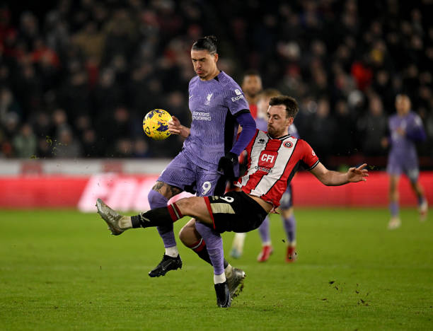 期待这对羽 期待这对羽